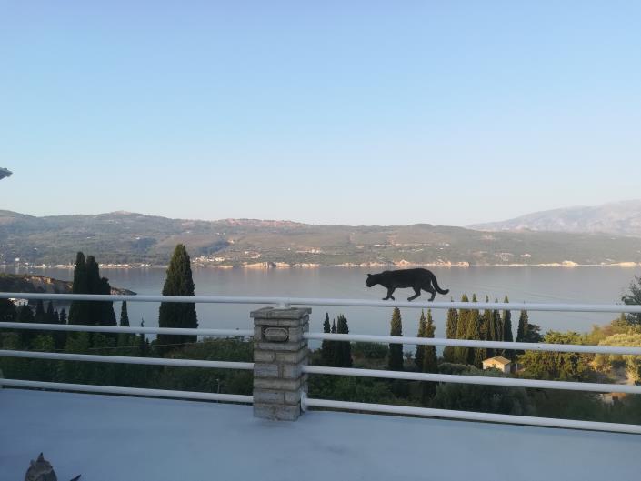 Image No.22-Un hôtel de 18 chambres à vendre à Samos