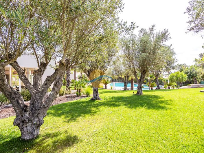 Image No.36-Maison de 2 chambres à vendre à Lagoa