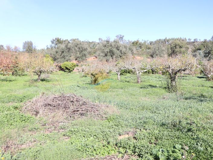 Image No.35-3 Bed Farmhouse for sale