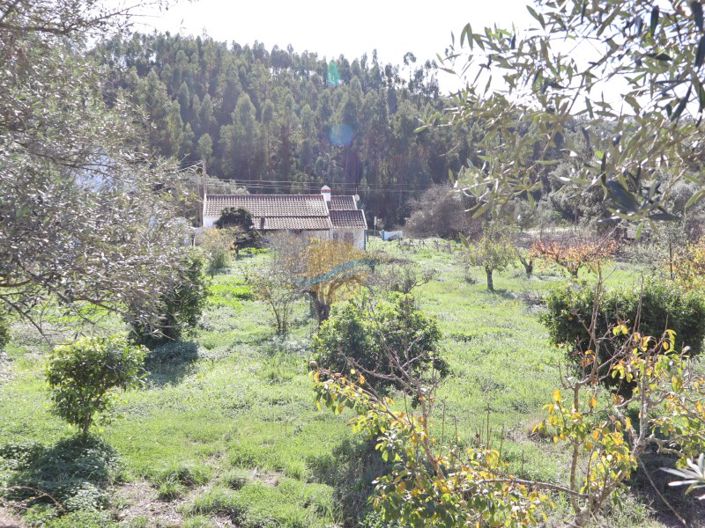 Image No.1-3 Bed Farmhouse for sale