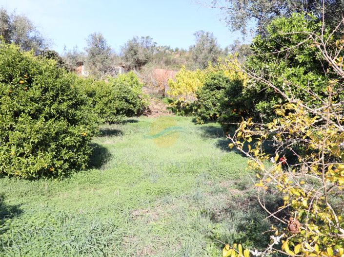 Image No.37-3 Bed Farmhouse for sale