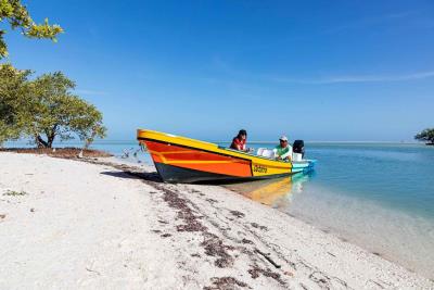 1 - Holbox Island, Terre