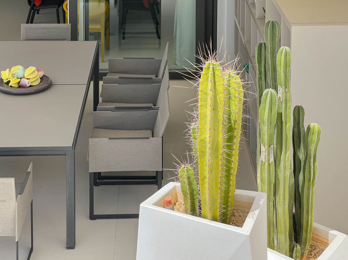 Image No.14-5 Bed Villa for sale