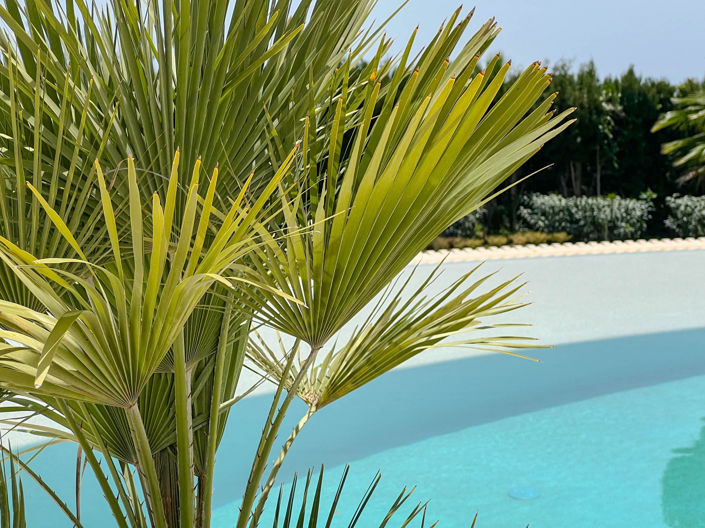 Image No.43-5 Bed Villa for sale