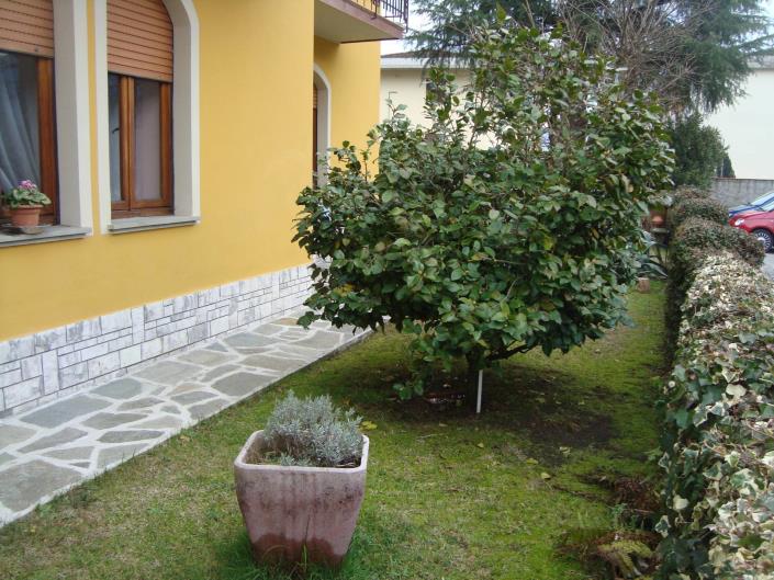 Image No.41-Villa de 6 chambres à vendre à Barga