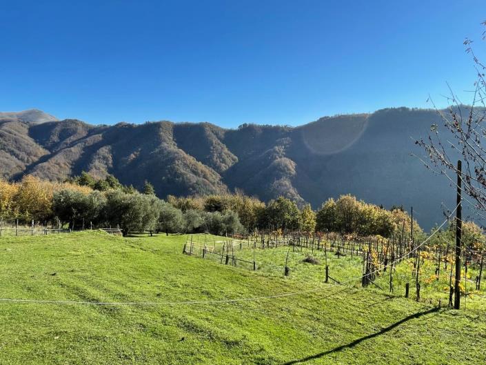 Image No.2-Maison de ville de 2 chambres à vendre à Coreglia Antelminelli