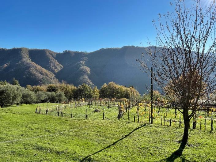 Image No.40-Maison de ville de 2 chambres à vendre à Coreglia Antelminelli