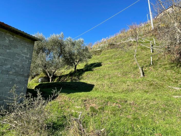 Image No.44-Maison de ville de 2 chambres à vendre à Coreglia Antelminelli