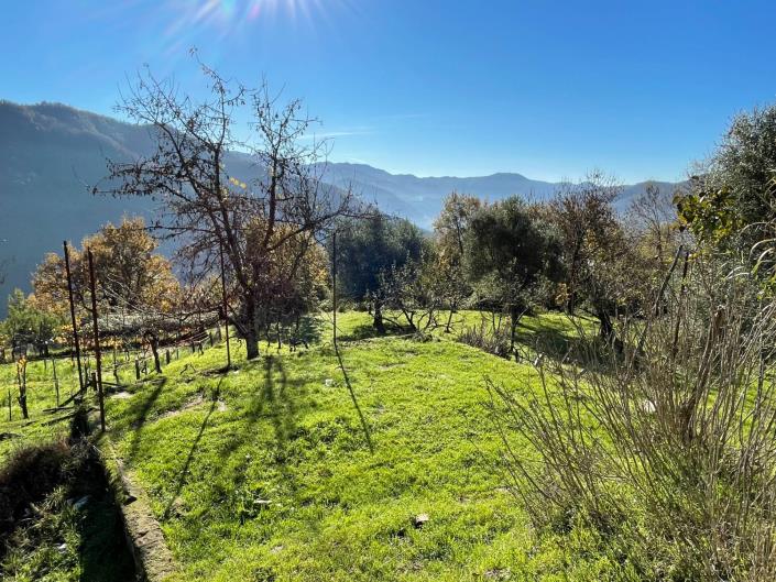 Image No.45-Maison de ville de 2 chambres à vendre à Coreglia Antelminelli