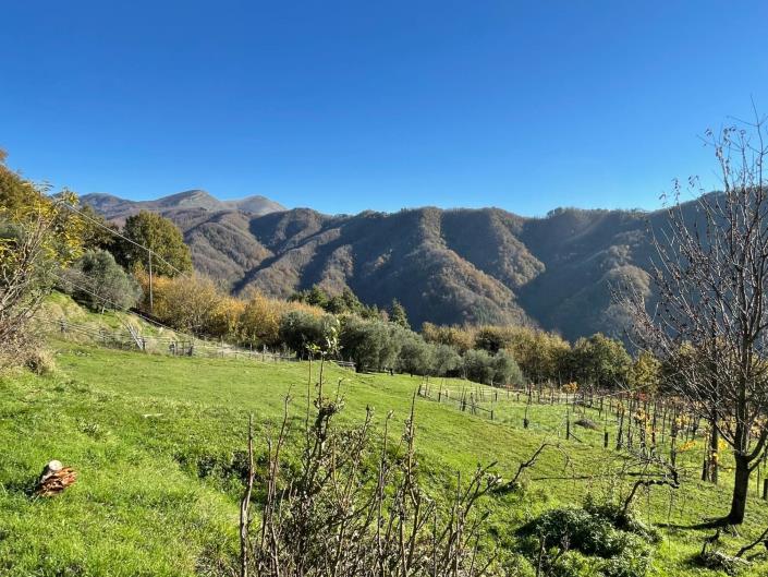 Image No.46-Maison de ville de 2 chambres à vendre à Coreglia Antelminelli
