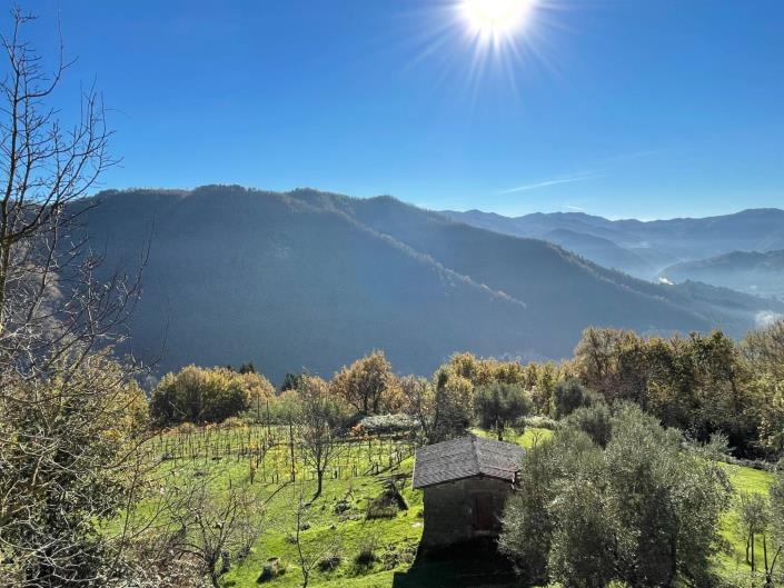 Image No.50-Maison de ville de 2 chambres à vendre à Coreglia Antelminelli