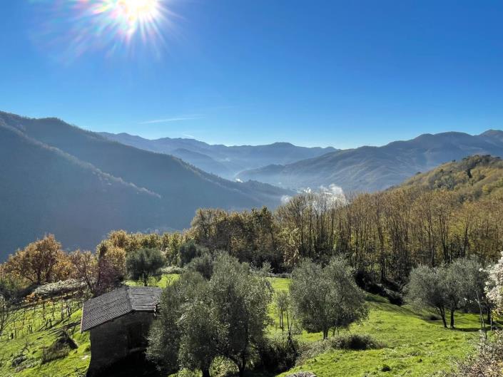 Image No.51-Maison de ville de 2 chambres à vendre à Coreglia Antelminelli