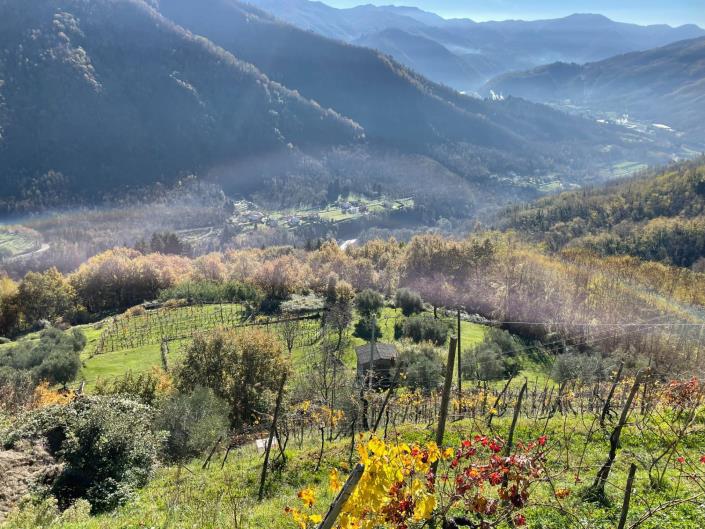 Image No.56-Maison de ville de 2 chambres à vendre à Coreglia Antelminelli