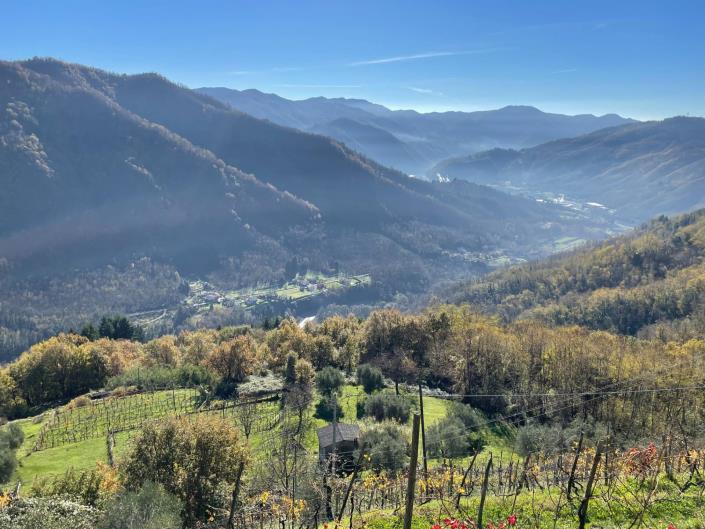 Image No.57-Maison de ville de 2 chambres à vendre à Coreglia Antelminelli