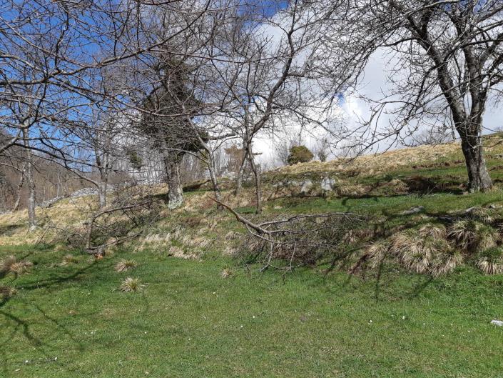 Image No.8-4 Bed Village House for sale