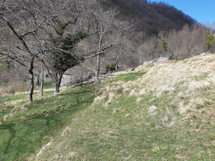 Image No.56-4 Bed Village House for sale