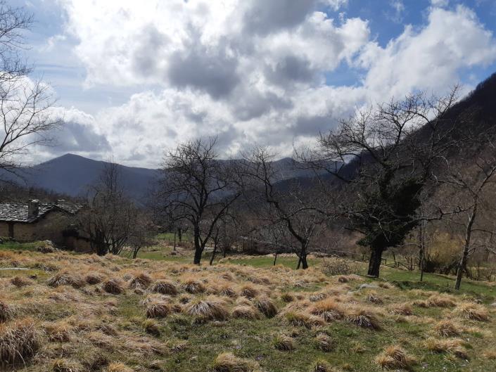 Image No.6-4 Bed Village House for sale