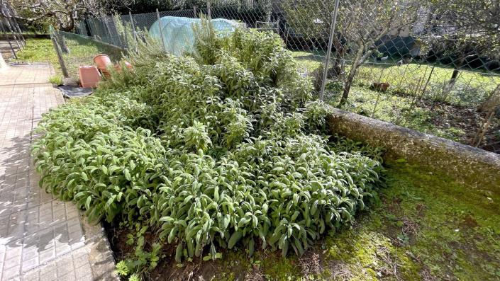 Image No.46-Appartement de 2 chambres à vendre à Bagni di Lucca