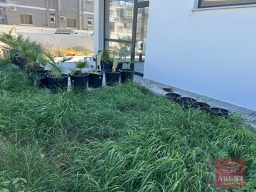 5-1-bed-apt-dekelia-9075