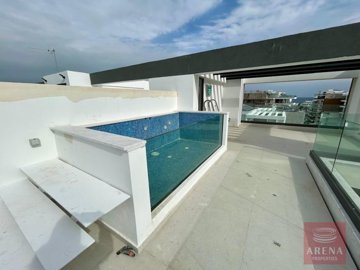 whatsapp-image-2025-01-29-at-62608-pm-3