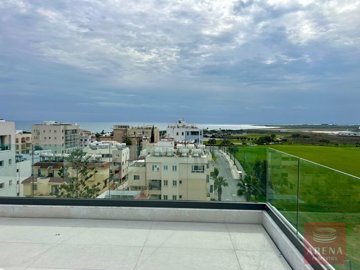 whatsapp-image-2025-01-29-at-62608-pm-4