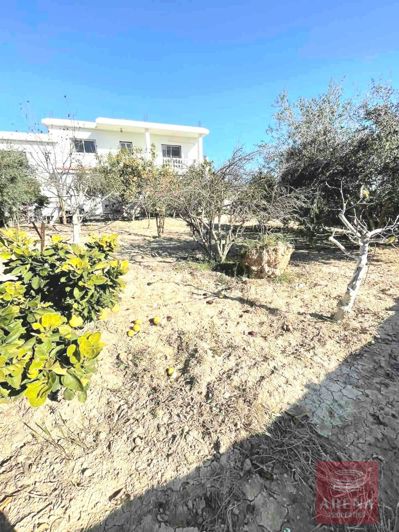 Image No.5-5 Bed Villa for sale