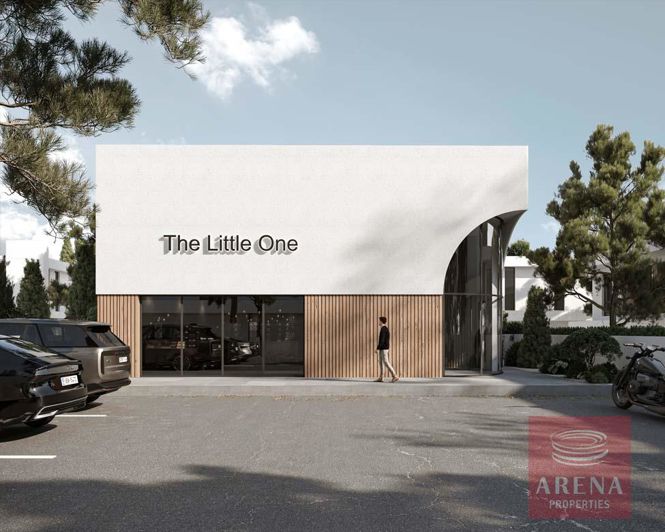 Image No.9-Villa de 3 chambres à vendre à Famagusta