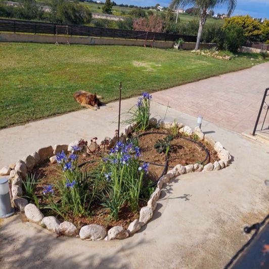 Image No.5-3 Bed Villa for sale