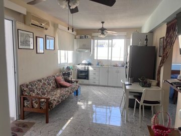 1-2-bedapts-kapparis-9511-4