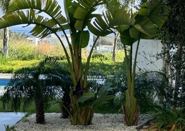 Image No.7-5 Bed Villa for sale