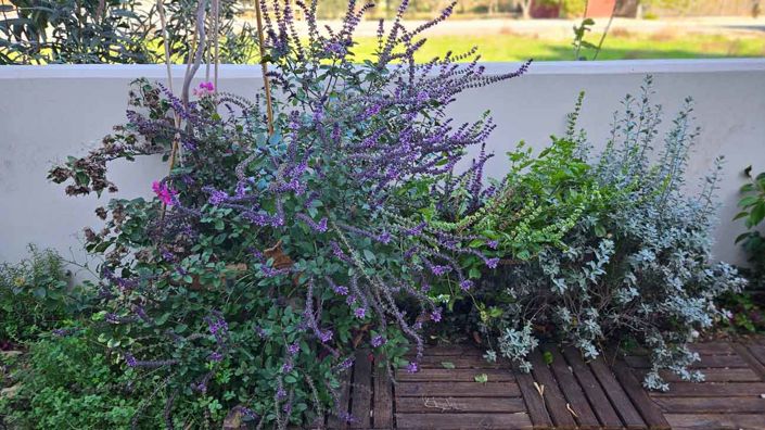 Image No.20-Villa de 3 chambres à vendre à Larnaca