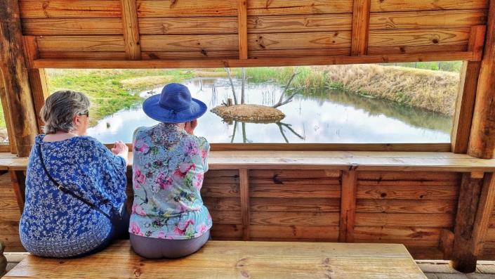 Image No.40-Maison de 3 chambres à vendre à Gauteng
