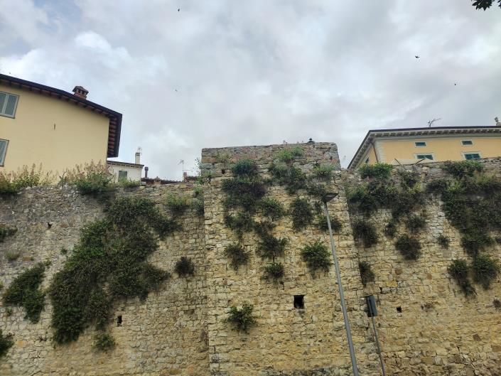 Image No.10-Maison de ville de 3 chambres à vendre à Civitella in Val di Chiana