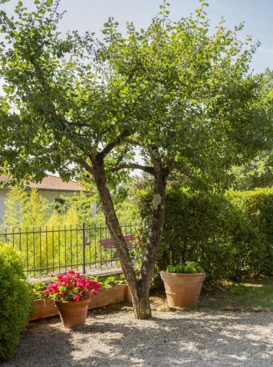 Image No.15-Appartement de 2 chambres à vendre à Torrita di Siena