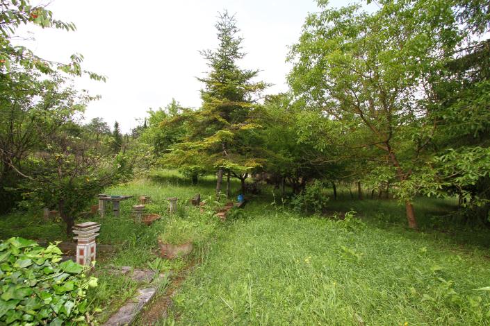 Image No.29-Maison de campagne de 4 chambres à vendre à Trequanda