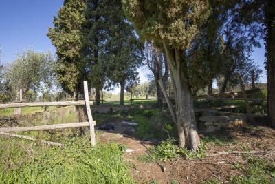 Montisi_Montalcino_farm_estate_for_sale--2-