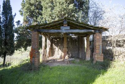 Montisi_Montalcino_farm_estate_for_sale--5-