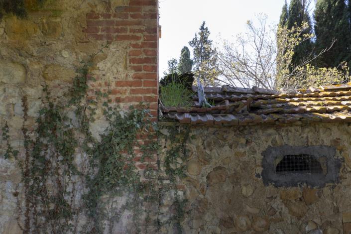 Image No.25-8 Bed Farmhouse for sale