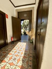 zaguan2-1-