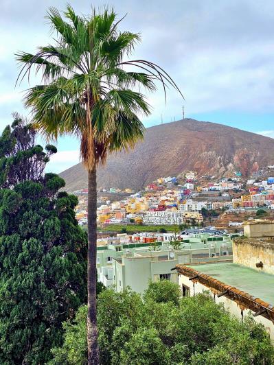 Image No.59-Manoir de 15 chambres à vendre à Guía