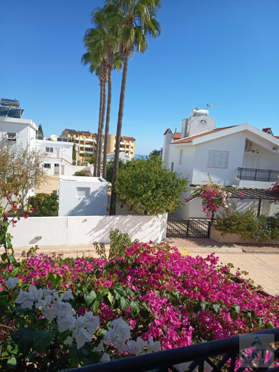 Image No.14-Villa de 3 chambres à vendre à Pernera