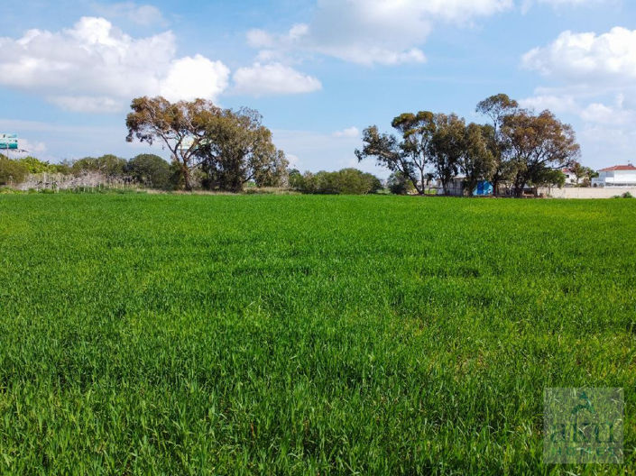 Image No.7-Land for sale