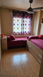 IMG-20241113-WA0009