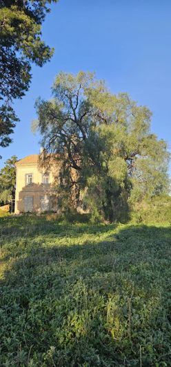 Image No.9-6 Bed Country House for sale