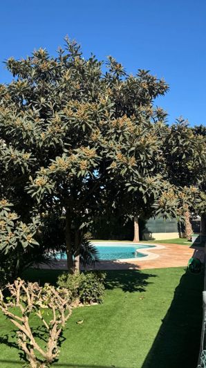 Image No.2-3 Bed Flat for sale