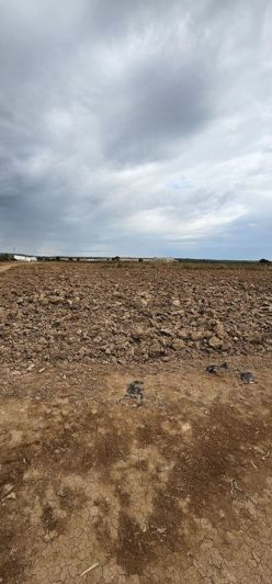 Image No.19-Property for sale