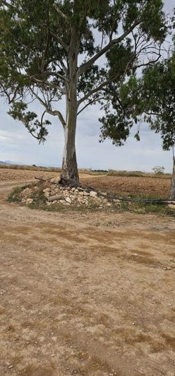 Image No.2-Property for sale