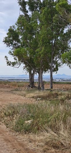 Image No.23-Property for sale