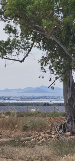 Image No.25-Property for sale