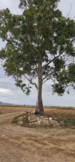 Image No.3-Property for sale